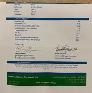 150 m/t Shedded Wheaten Hay 