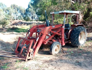 International 484 Tractor 