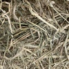 1 x B-Double Load of Barley Hay