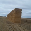 Barley Straw Header Trail  West Minster - 145 - 8x4x3 Bales Sold By the Ton - 500kg +