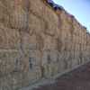 500mt Barley Straw 8x4x3 Bales