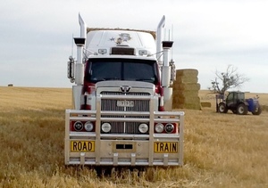 Transport/Freight Contractor