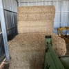 Barley Straw 450kg 8x4x3 Bales (Windrowed)
