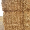 Wheaten Header Trails