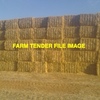 Wheaten Header Trail Straw 