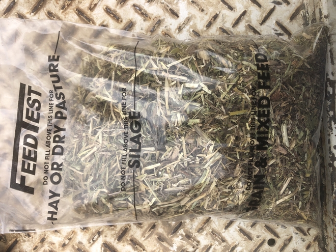 Oaten / Balansa Clover - 8x3x3 Bales approximately 200 Bales - SOLD By The BALE