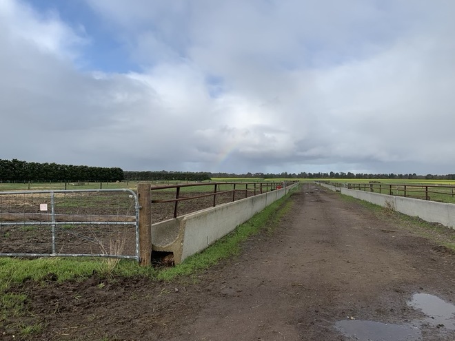 WANTED Share Farmer for Feedlot Rental (up to 1,000 cows)