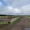 WANTED Share Farmer for Feedlot Rental (up to 1,000 cows)