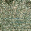Mobey Barley Hay