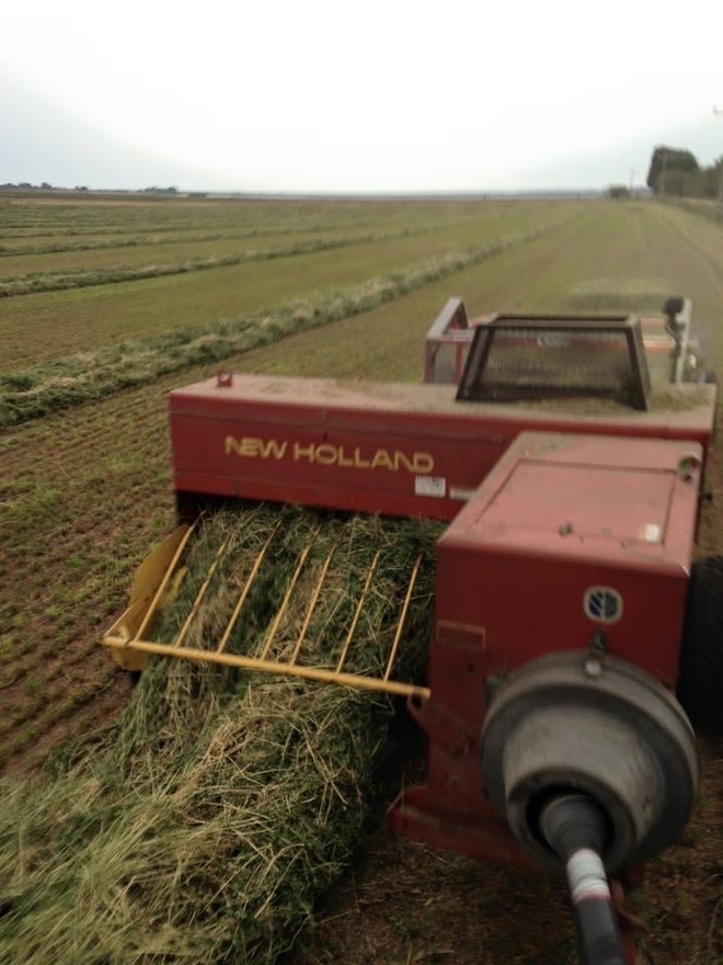 New Holland 570