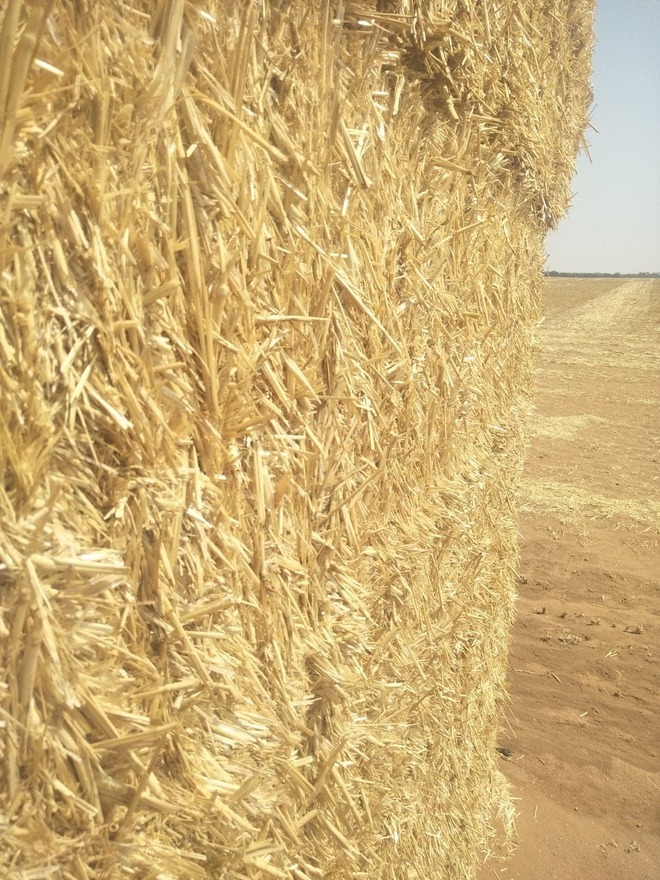 2019 Wheaten Straw - HD bales - 45 min from VIC/NSW border 