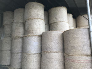 Wheaten Hay 5x4 Rounds (Shedded)