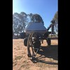 9m ABATI Disc Planter with 1330 Flexi Coil Air Cart