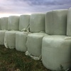 Prime Lucerne Silage Hay Large Rounds