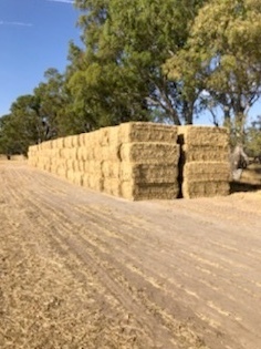 300mt Cereal Hay 8x4x3 Bales