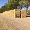300mt Cereal Hay 8x4x3 Bales