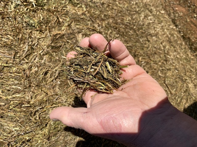2020 Vetch Hay 700-730kg 8x4x3 Bales