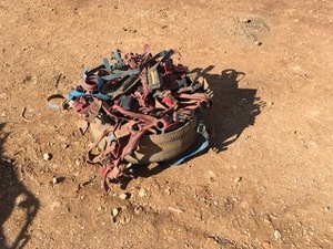 21 Ram Harnesses - 2% Buyers Premium on all Lots