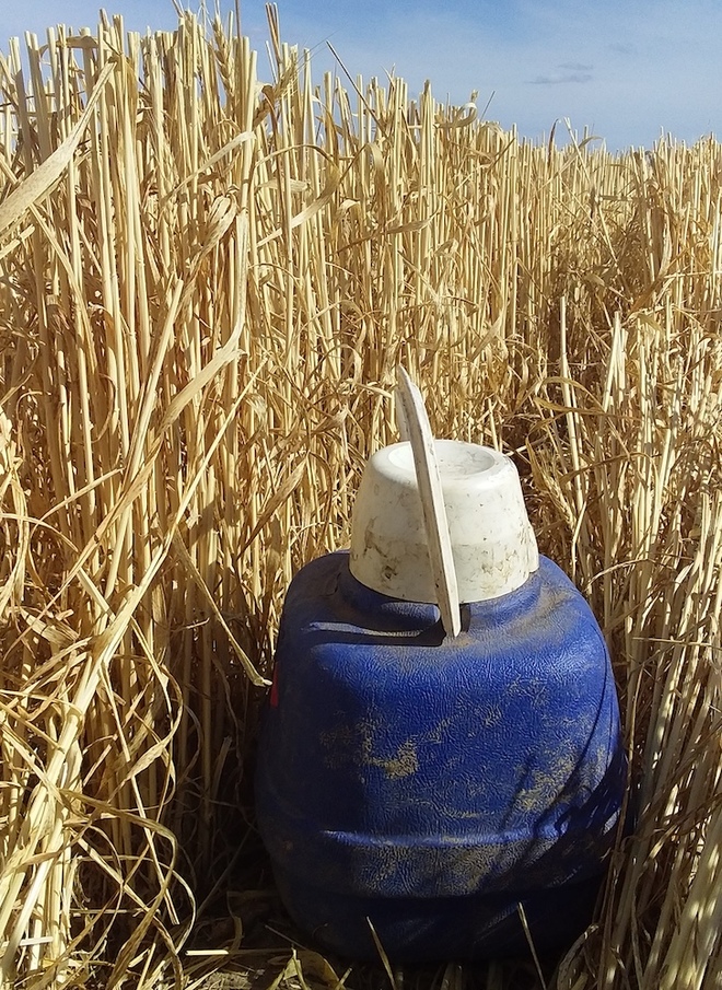 EOI Wheaten Straw 5x4 or 8x4x3 Bales