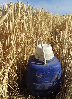 EOI Wheaten Straw 5x4 or 8x4x3 Bales
