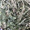 Quality Compressed Lucerne Hay on Pallets