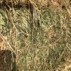 New Season Oaten Hay For Sale 8x4x3 Bales