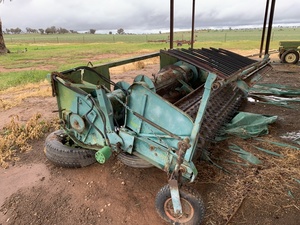 Canola 7720 canola front