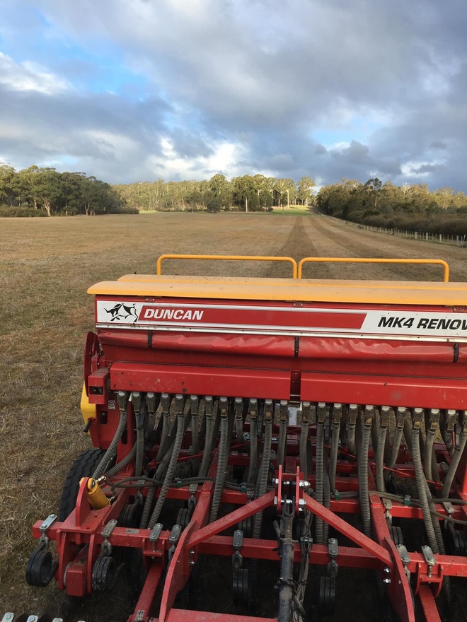 Duncan MK4 Renovator