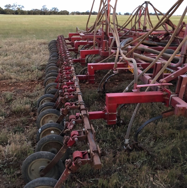 International Box 30ft Sunflower Field Bar