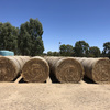 Oaten hay 