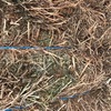 400m/t New Season Vetch Hay Off the Baler