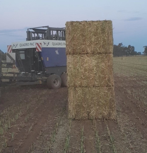 2016 Massey Ferguson 2270 XD Baler with 2016 Quadro Pac V Baler Stacker (Package Deal)