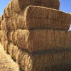 270m/t Oaten Hay in 8x4x3 Bales