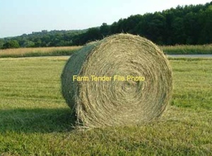 300 x Annual Rye & Clover Hay 5x4 Rolls