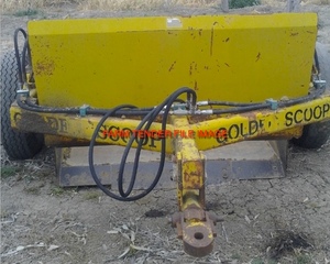 2.5m Golden Scoop WANTED