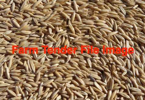 2mt Eurabbie Seed Oats