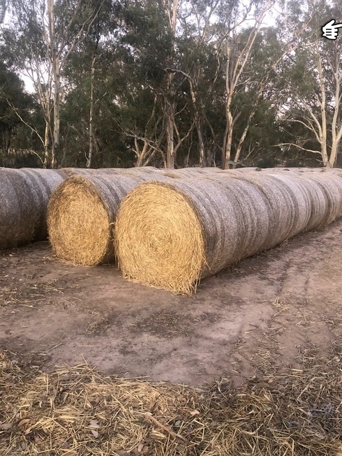 150 x Triticale Hay 385kg 5x4 Rolls