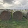 220 x Oaten Hay 5x4 Bales