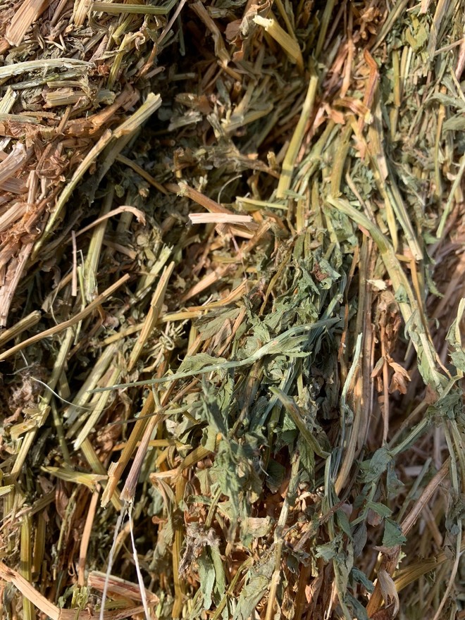 Vetch hay Rolls A1 