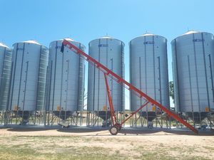 Bordignon Auger 47ft x 9 inch