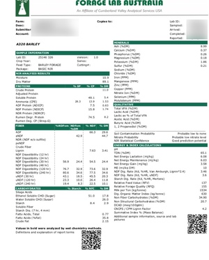 80mt Barley Hay 650-700kg 8x4x3 Bales