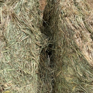 Oaten Hay