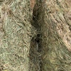 Oaten Hay