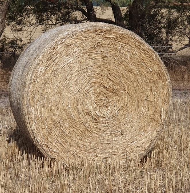 100 x Wheaten Straw 5x4 Rolls (Straw Walker Header Trails)
