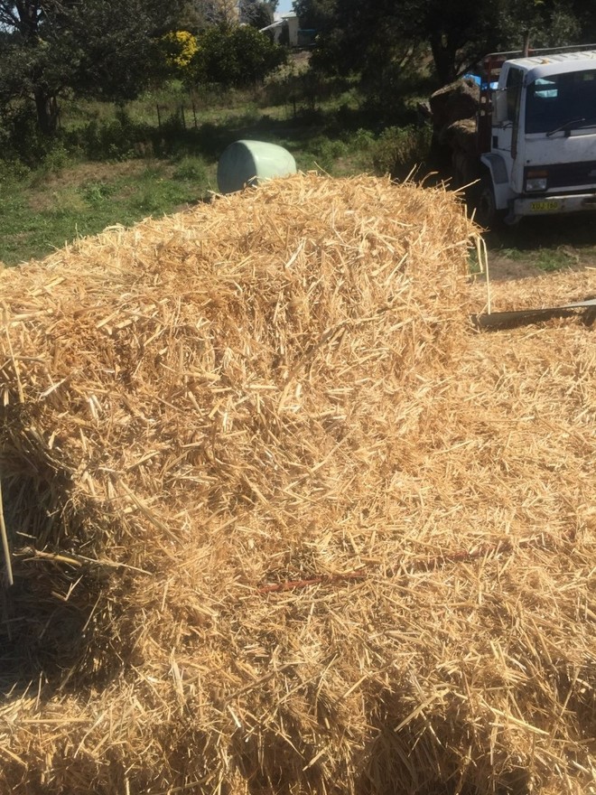 20 Bales Barley Straw/Lucerne