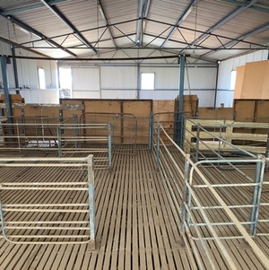 Shearing Shed - Two Stand Gisbourne