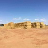 Wheaten Straw 8x4x3 Bales
