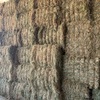  - This Season Rye Grass Hay - small squares in packs of 21 - Approximately 1000 - To Be SOLD by the Bale