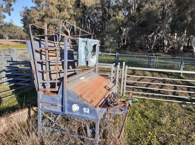 Gun Crutcher Sheep Handler