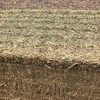 250T Canola Hay 600kg approx 8x4x3 Bales ##PRICE REDUCED##